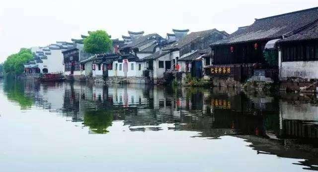 中世纪王朝:畅游奇幻世界,建造你的王国梦想!